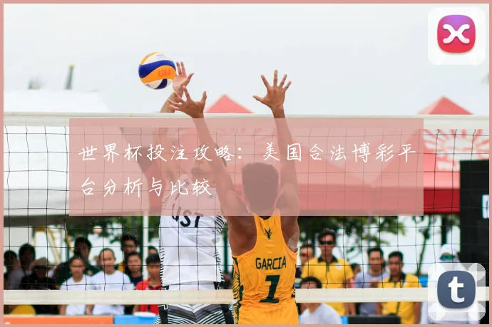世界杯投注攻略：美国合法博彩平台分析与比较