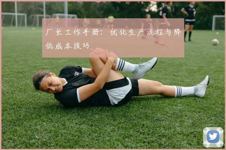 厂长工作手册：优化生产流程与降低成本技巧