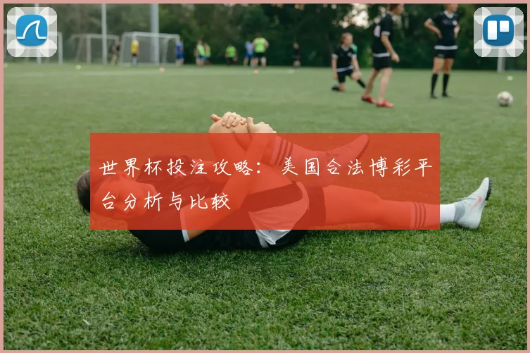 世界杯投注攻略：美国合法博彩平台分析与比较