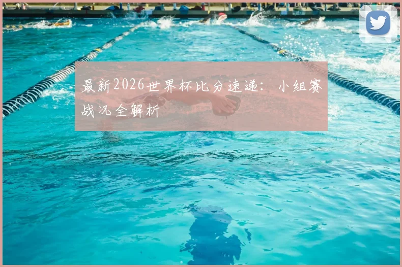最新2026世界杯比分速递：小组赛战况全解析